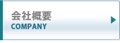 ЊTv